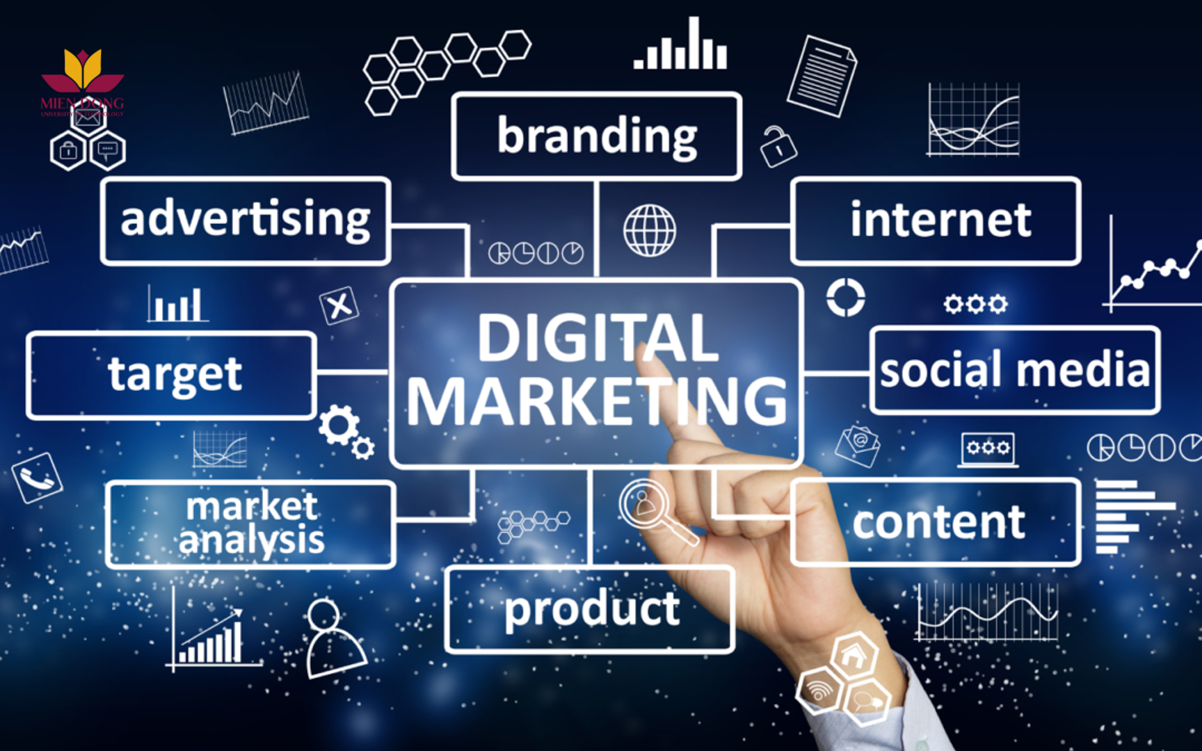 Digital Marketing -  Phép màu công nghệ